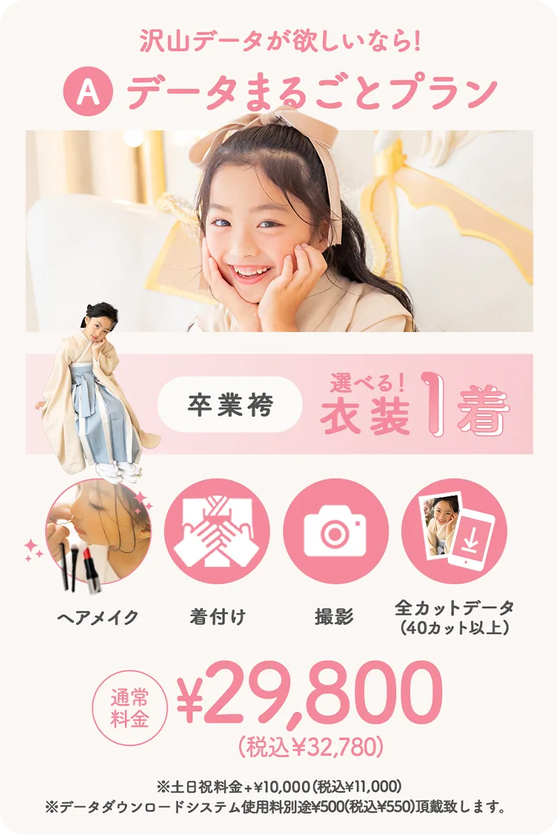 データまるごとプラン