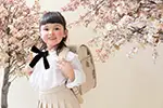 スタジオ写真「おはなみ」(11)