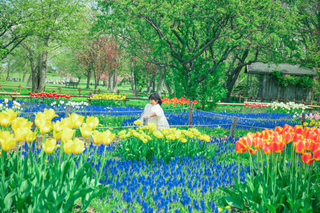 ロケーション撮影】百合が原公園で新緑とお花がどっちも撮れちゃう欲張りロケ🌸｜写真工房ぱれっとサッポロファクトリー店