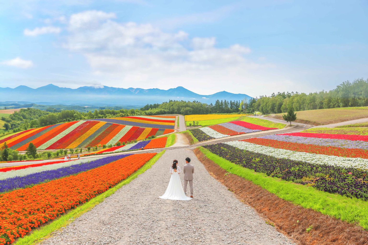 【北海道×ロケーション】8月・9月は四季彩の丘がおすすめ！お花の絨毯が圧巻！北海道が世界に誇るロケーションフォトスポット！
