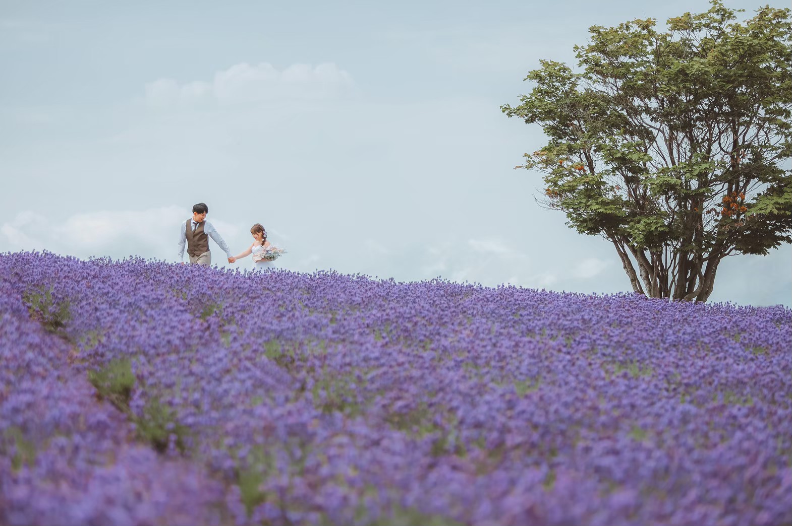 北海道上富良野・日の出公園で楽しむ絶景旅