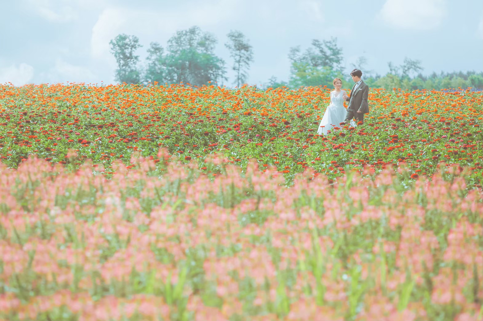 【北海道ロケーション】上富良野の絶景ロケ地「かみふらのフラワーランド」四季折々の花々が咲き誇りこれから撮影の方へもおすすめ！