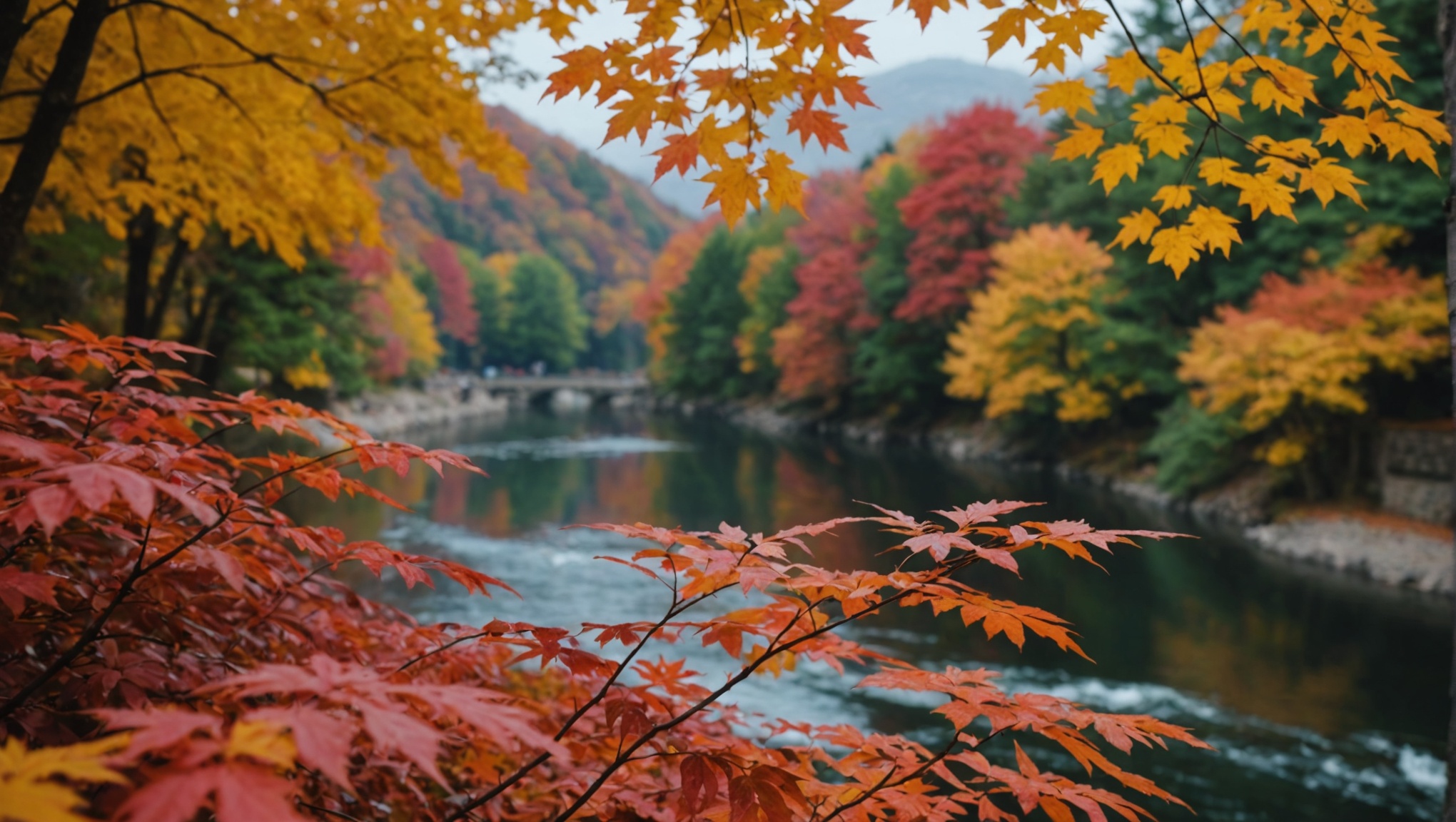 秋の定山渓温泉で紅葉絶景を満喫！写真映えおすすめスポット