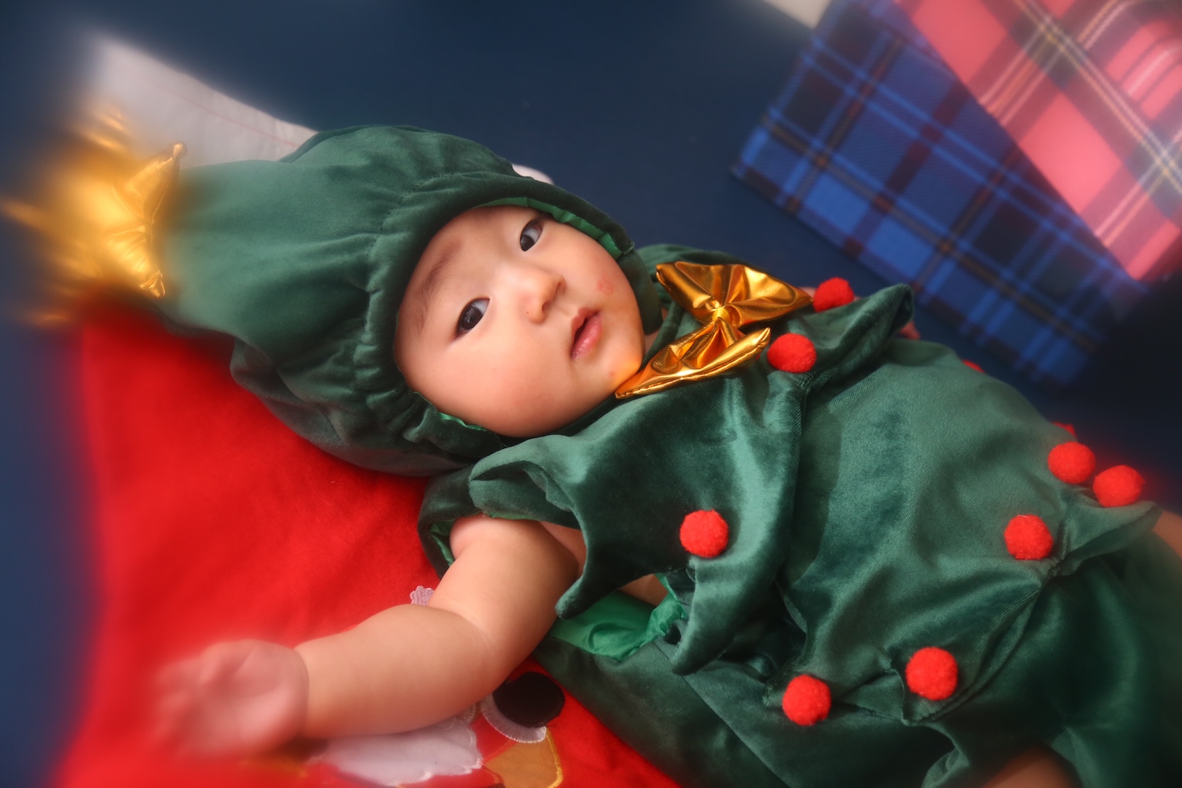 【BABY】🌲クリスマスイベント🌲　24日開催！！〜ツリーに大変身〜