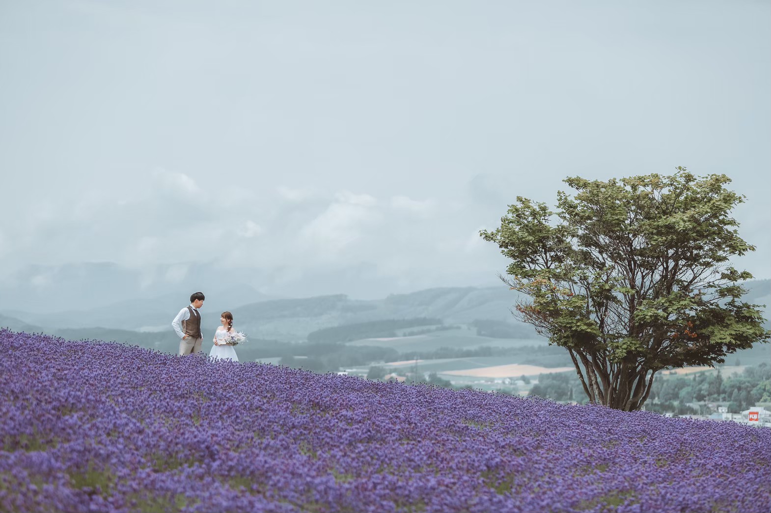 国内の新婚旅行は北海道で！絶景とグルメの癒し旅